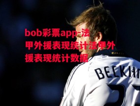 bob彩票app-法甲外援表现统计法甲外援表现统计数据