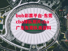 bob彩票平台-东莞cba球队照片cba广东东莞队员资料