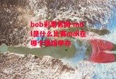 bob彩票官网-mdl是什么比赛mdl在哪个场馆举办